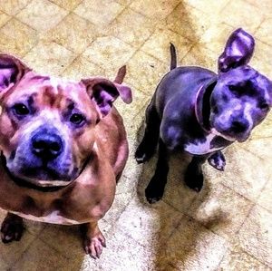 Meet your Posher, Ma3k